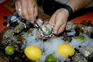 hepatitis a transmission oysters hepatitis a transmission oysters