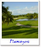 Golfing in and around Greater Puerto Vallarta