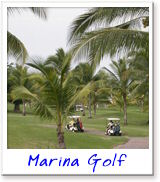 Golfing in and around Greater Puerto Vallarta