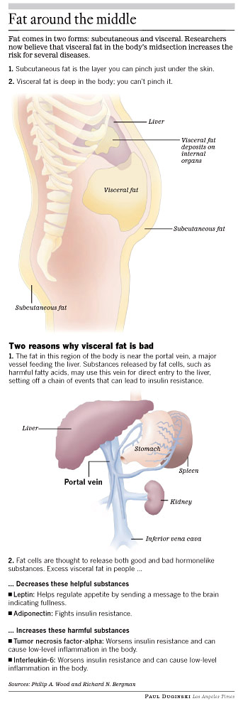 The link between abdominal fat and death: What is the shape of