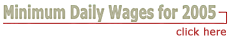 Click for Mexican Minimum Wages for 2005